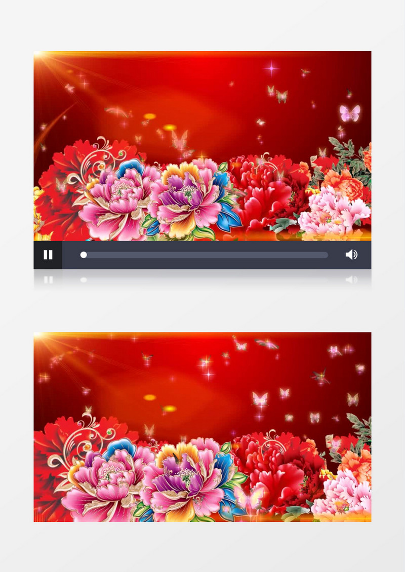 牡丹花开蝴蝶飞舞背景视频（有音乐）