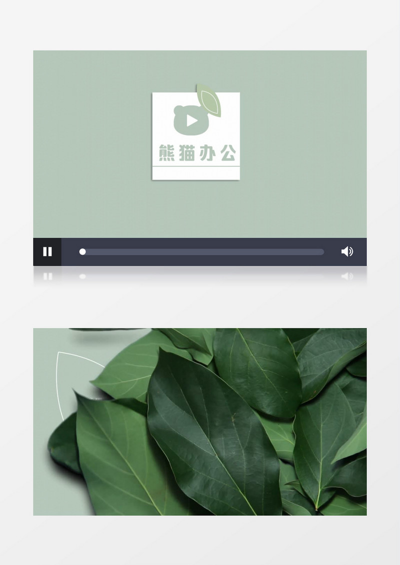实拍叶子吹散图标logo动画AE视频模板