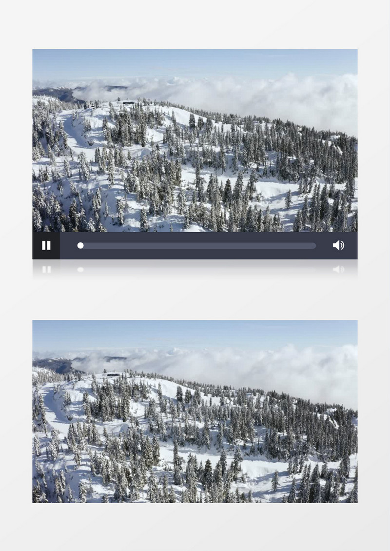 雪天林木天际线展示实拍视频