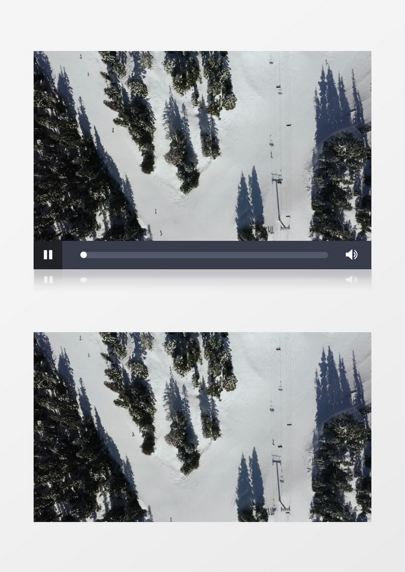 白雪草地松林展示实拍视频