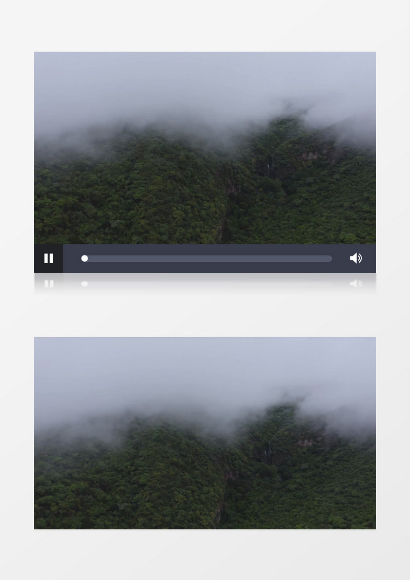 清新林木雾间草地展示实拍视频