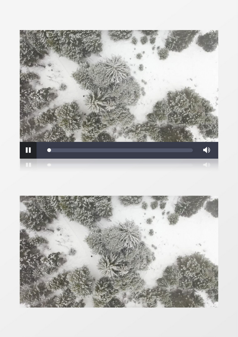 大全景航拍一个男人走在白雪覆盖的松树林里实拍视频素材