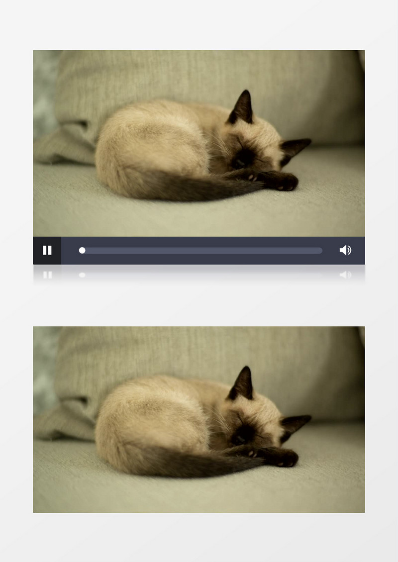  窝在沙发上睡觉的猫实拍视频素材