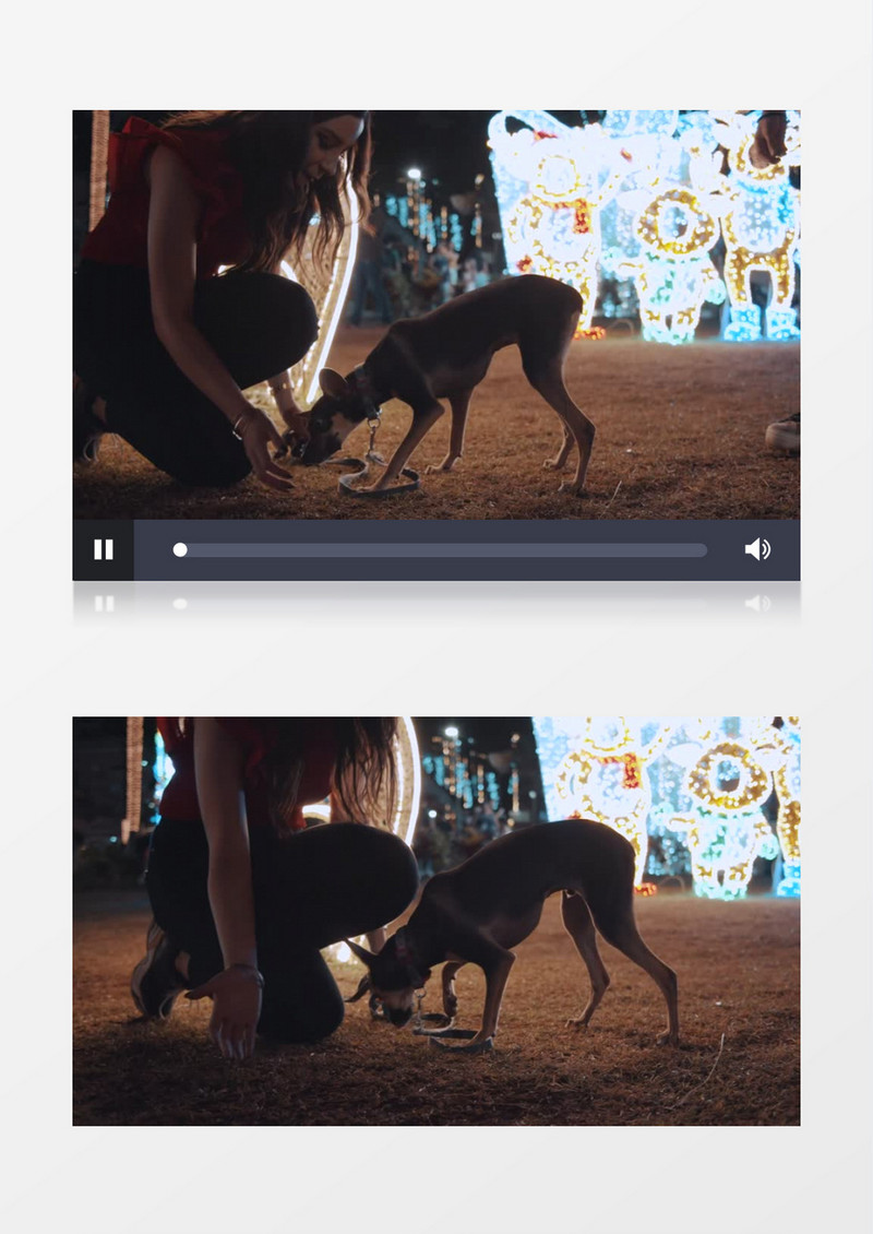 两个女孩在给宠物狗喂食实拍视频素材