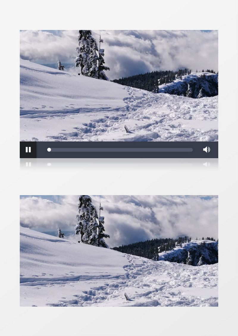 松树林里白雪覆盖的小山实拍视频素材