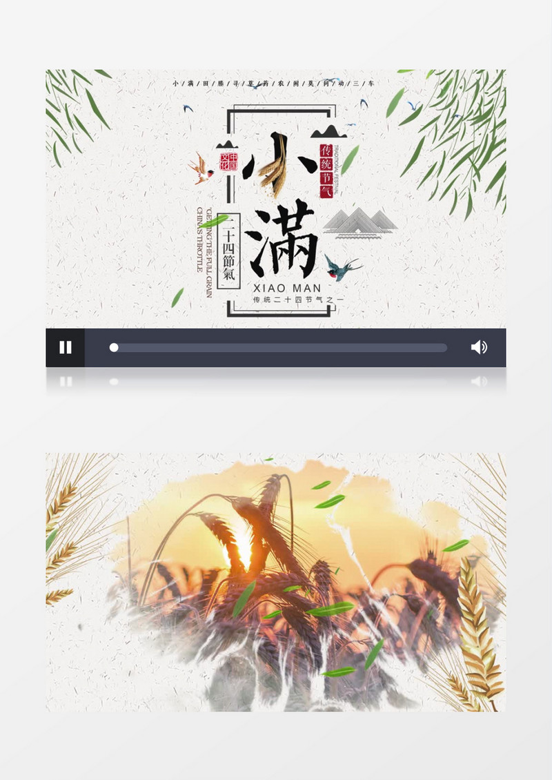 二十四节气水墨风小满AE模板