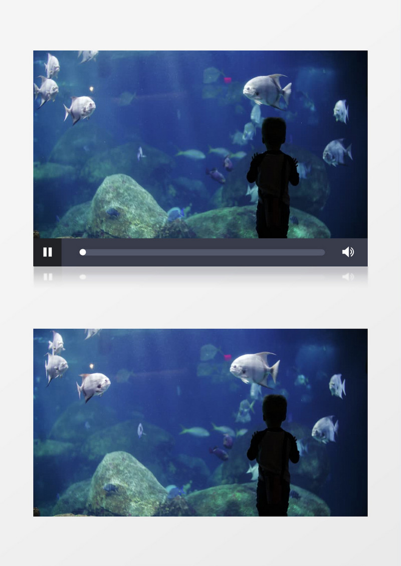 小朋友站在水族馆前面看鱼实拍视频素材
