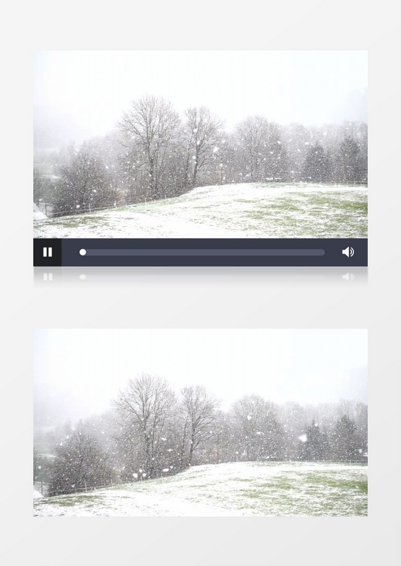树林中飘落的雪花实拍视频素材