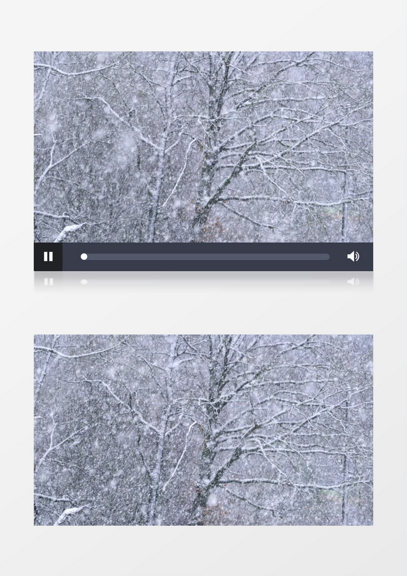 大雪覆盖下的小树实拍视频素材