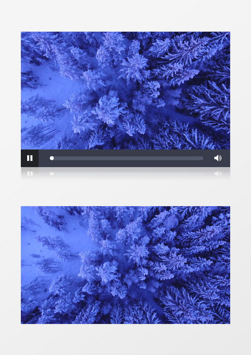 俯拍松树林雪景实拍视频素材