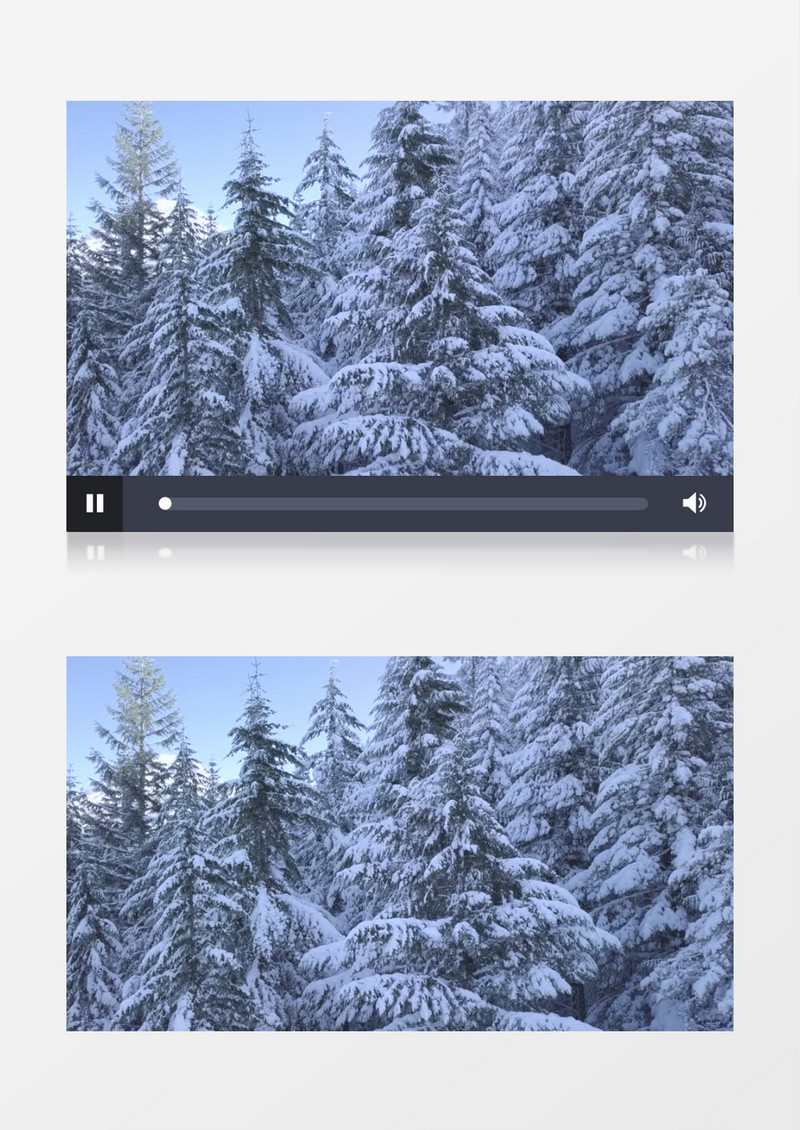 被大雪覆盖的松林实拍视频素材
