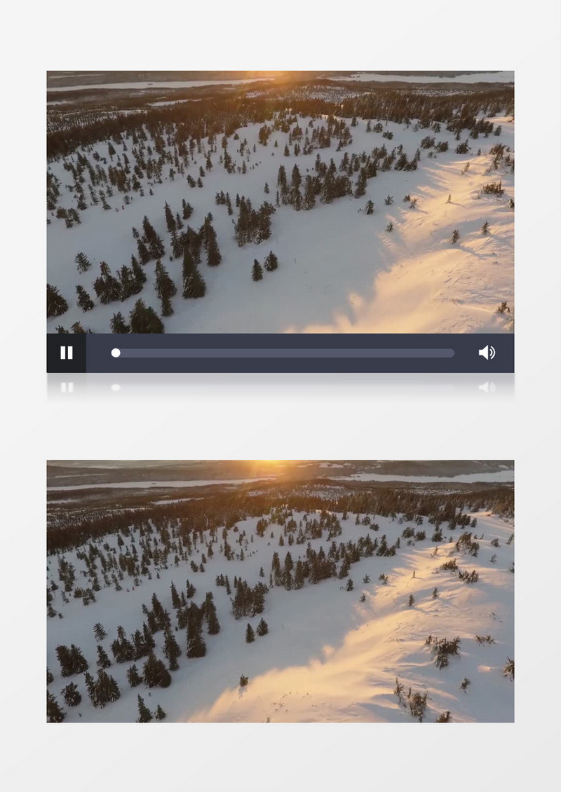 阳光照射下的雪林实拍视频素材