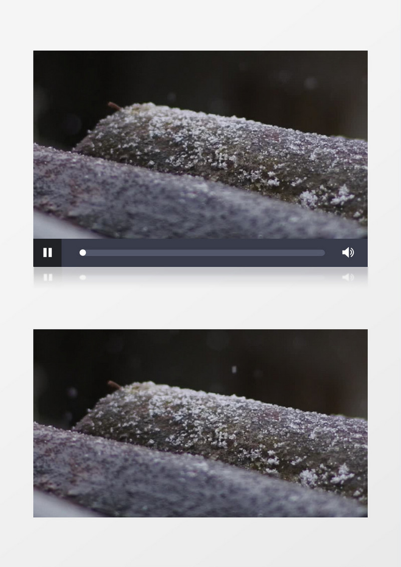 近景树叶上的小雪实拍视频素材