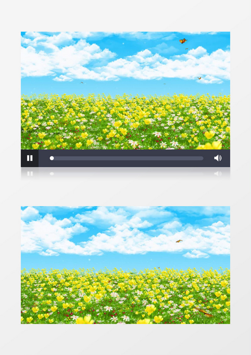 蓝天白云小黄花背景视频