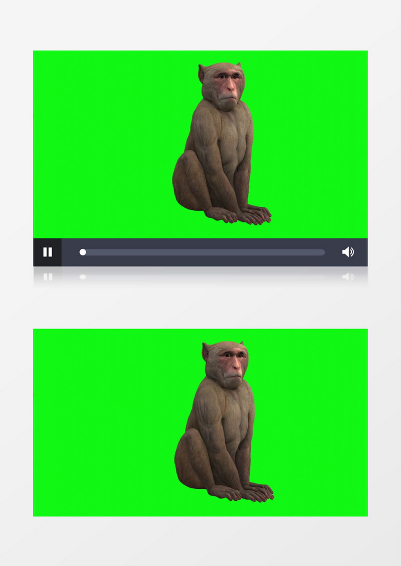 3D旋转的蹲坐的雌性大猩猩视频素材
