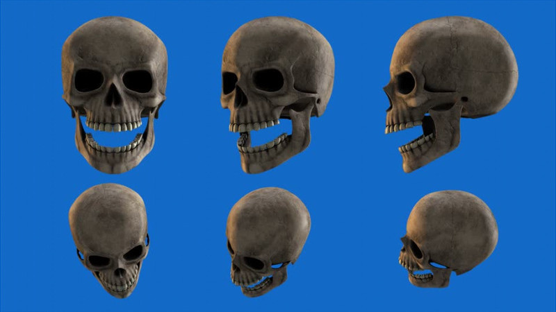 各个角度的骷髅头牙齿咬合过程视频素材