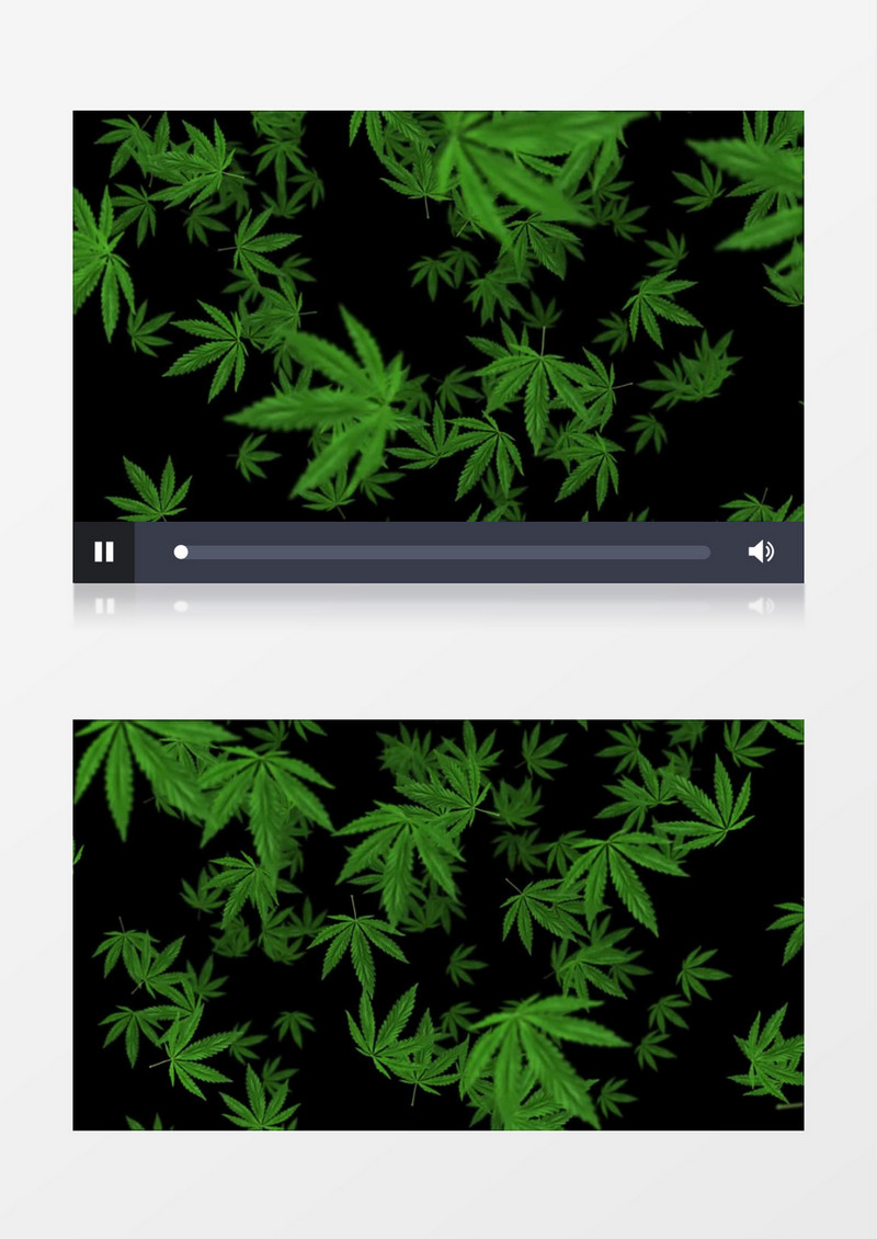 缓缓飘落的绿色树叶视频素材