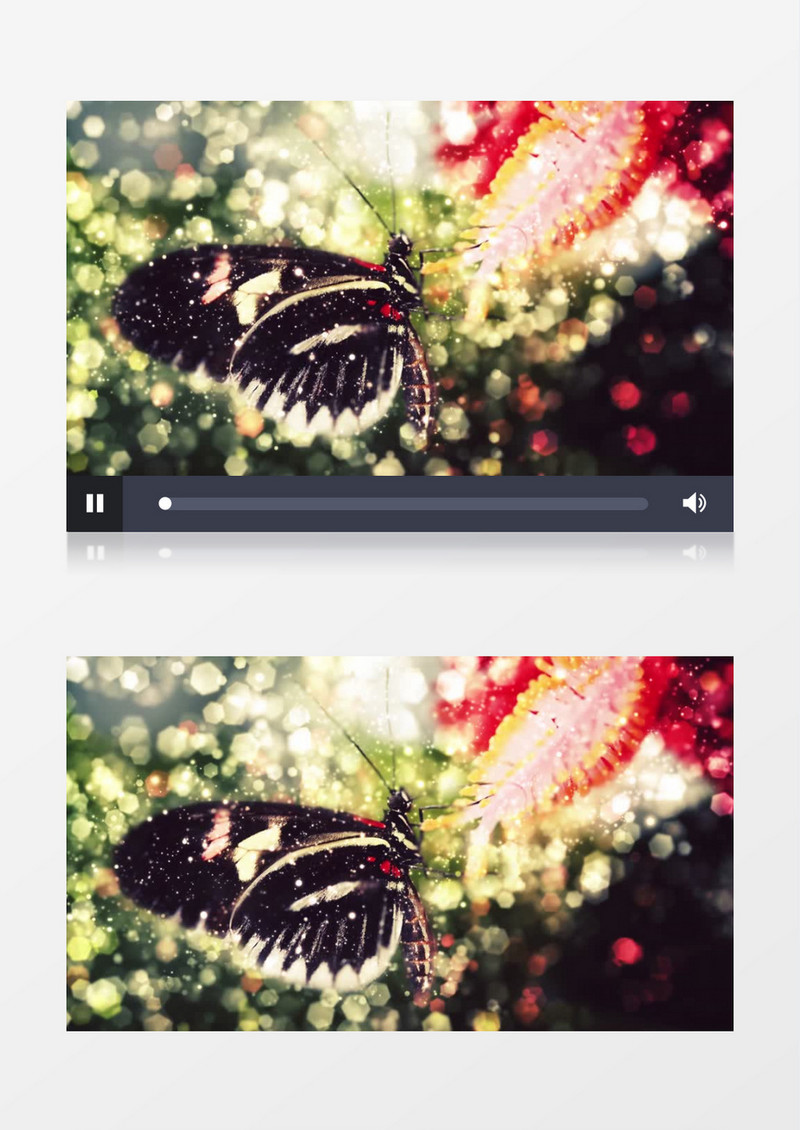梦幻蝴蝶动态粒子背景视频