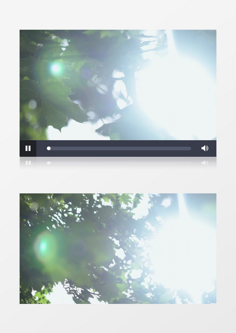 在树丛中拍摄正午的阳光实拍视频素材