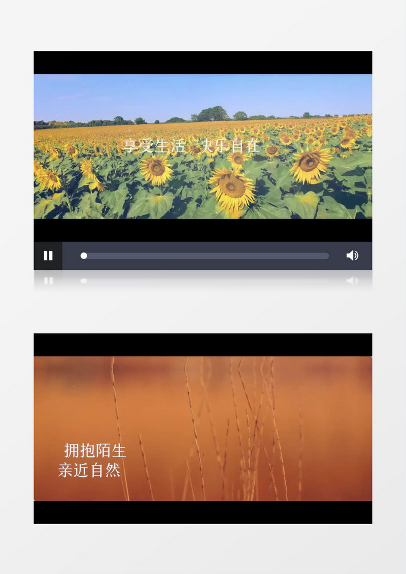 大气电影级开场图文旅行相册PR视频模板