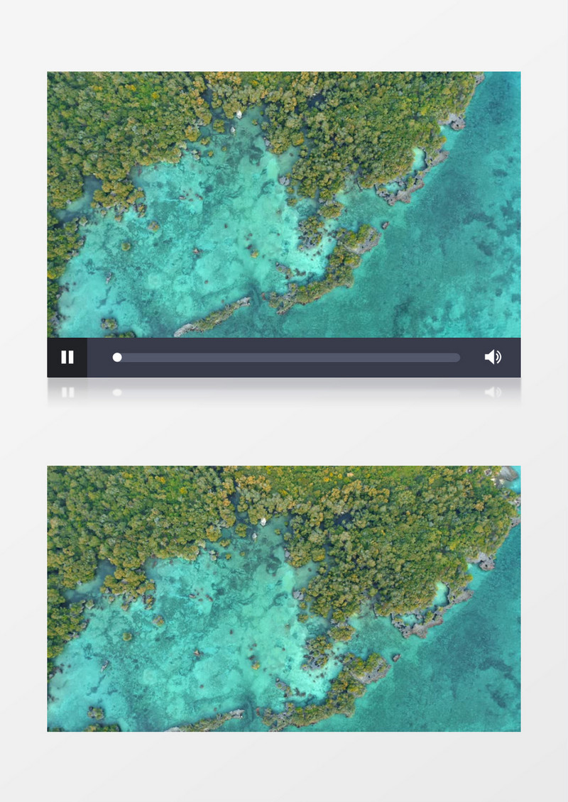 高清实拍海边的树木实拍视频素材 