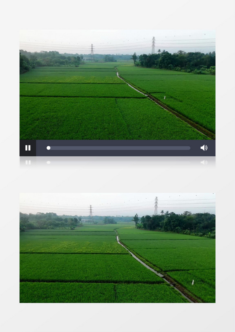 高清航拍嫩绿的农作物实拍视频素材