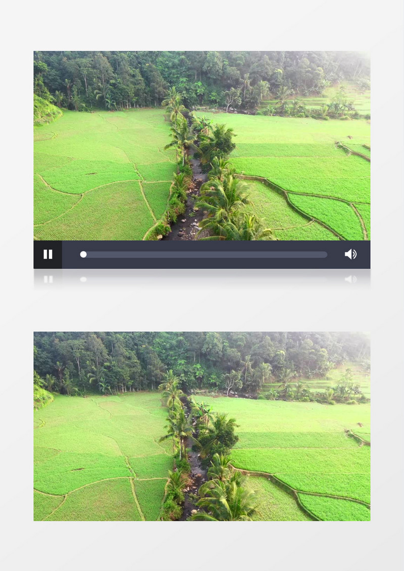 航拍种植的绿色农作物和水稻实拍视频素材