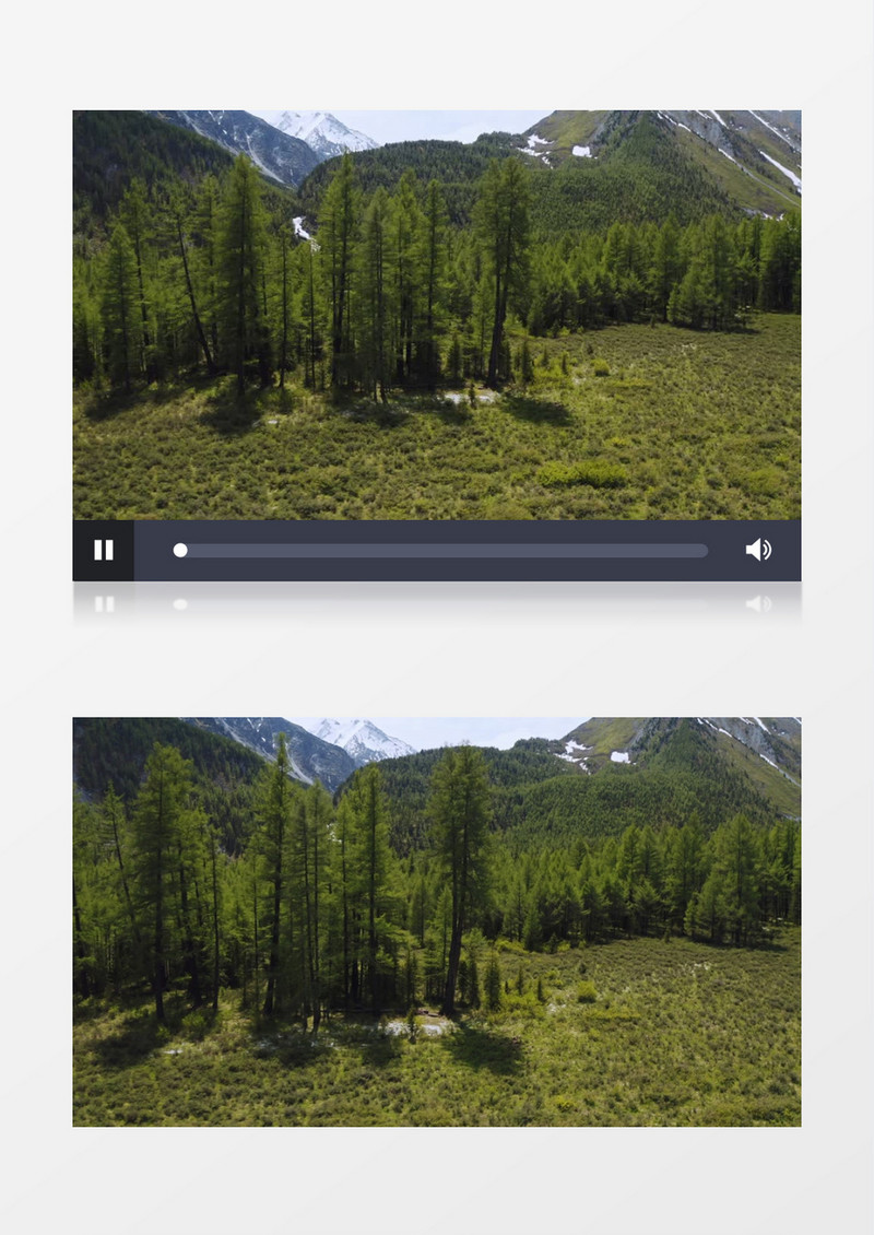 实拍山下的树木和植被实拍视频素材