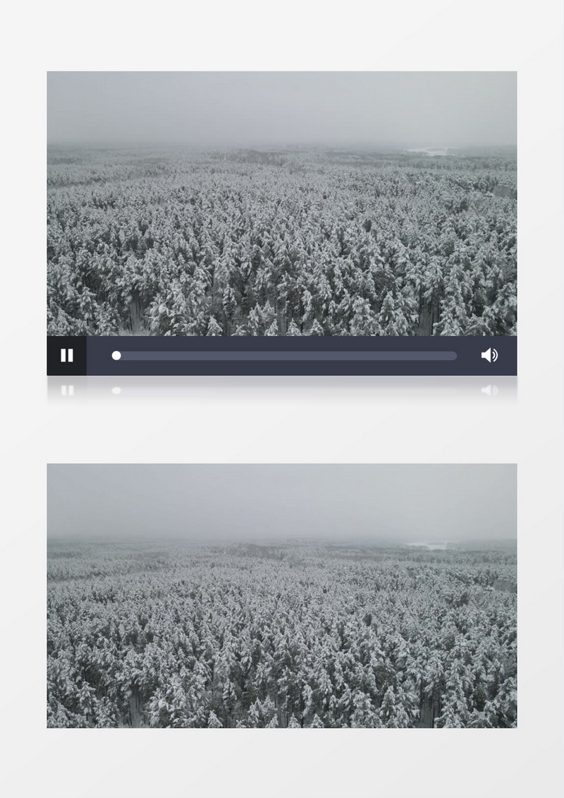 实拍被雪花覆盖的树林实拍视频素材
