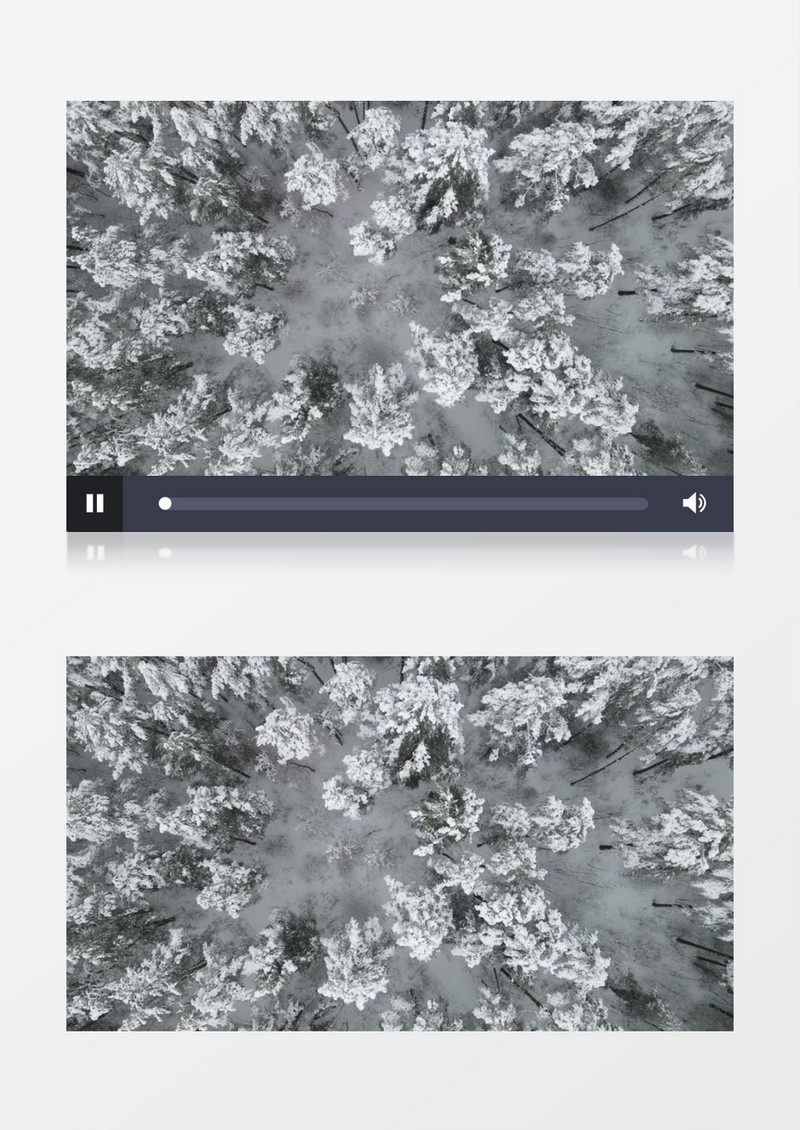 实拍冰雪挂满枝头的树木实拍视频素材