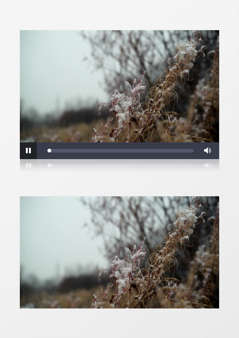 小雪花飘落堆积到枯枝上实拍视频素材