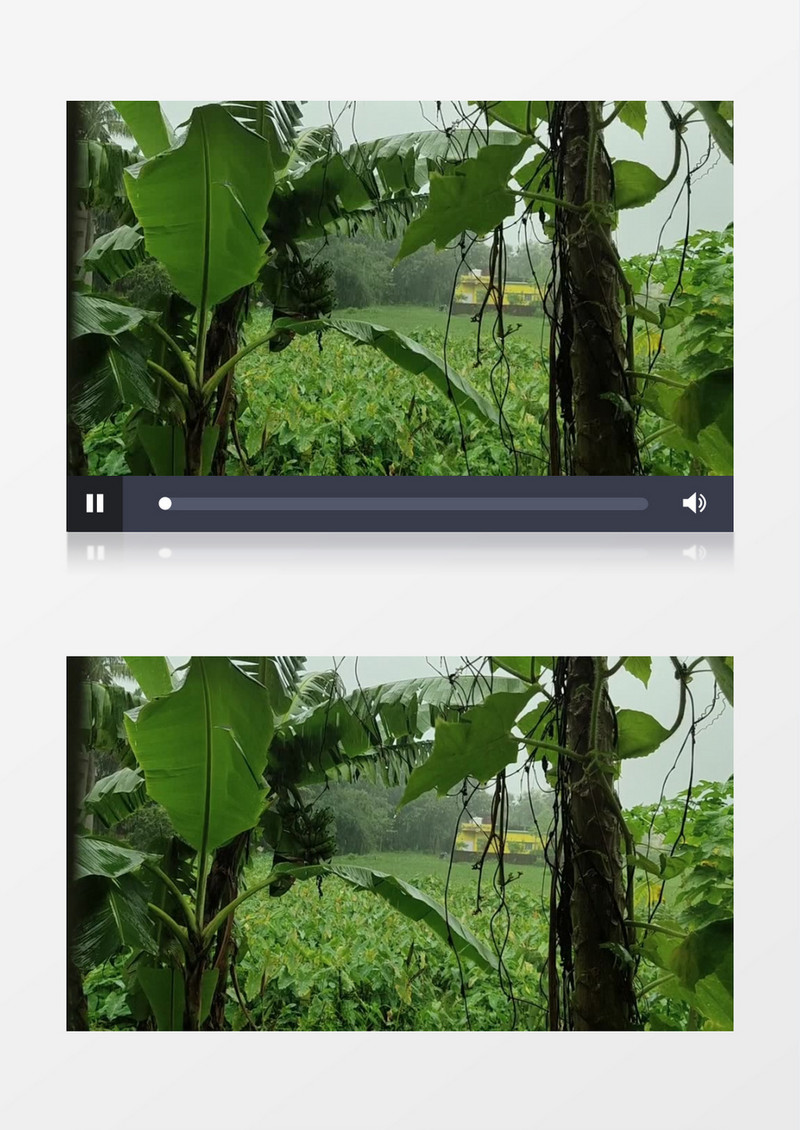 空镜头拍摄雨滴洒落在芭蕉树上实拍视频素材