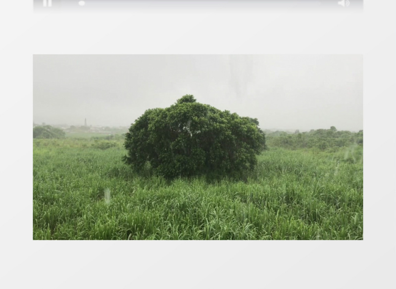 空镜头拍摄郊外下雨景象实拍视频素材