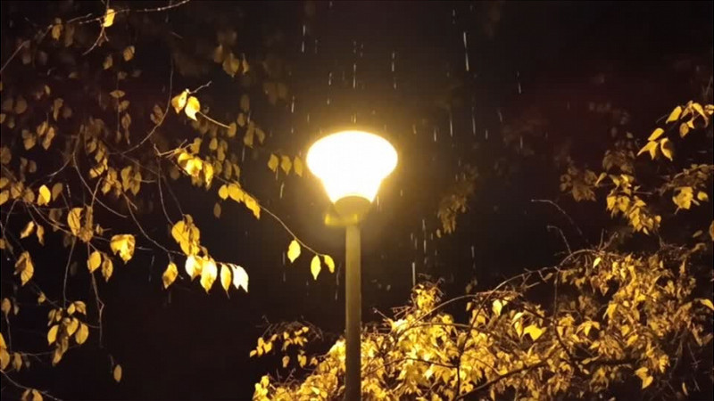 雨中的路灯实拍视频素材