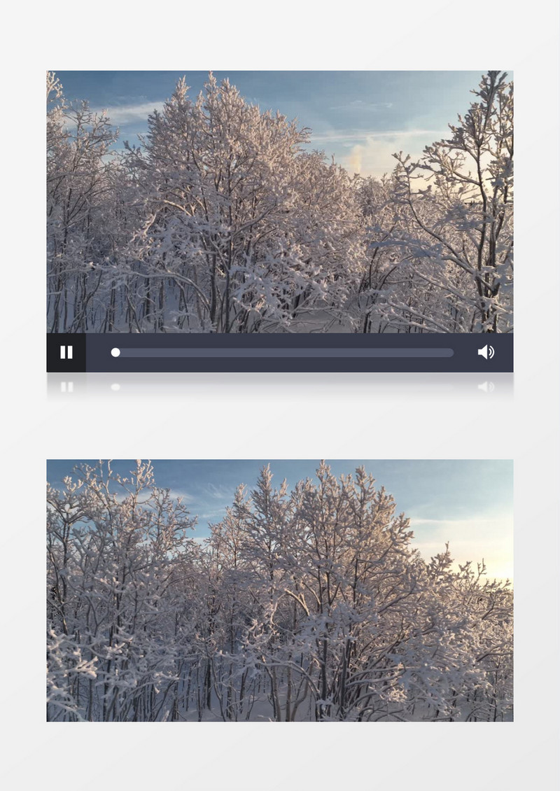 冰雪覆盖的树木景色实拍视频素材