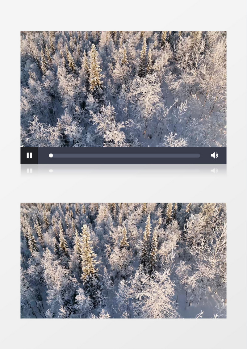 被冰雪覆盖的森林实拍视频素材