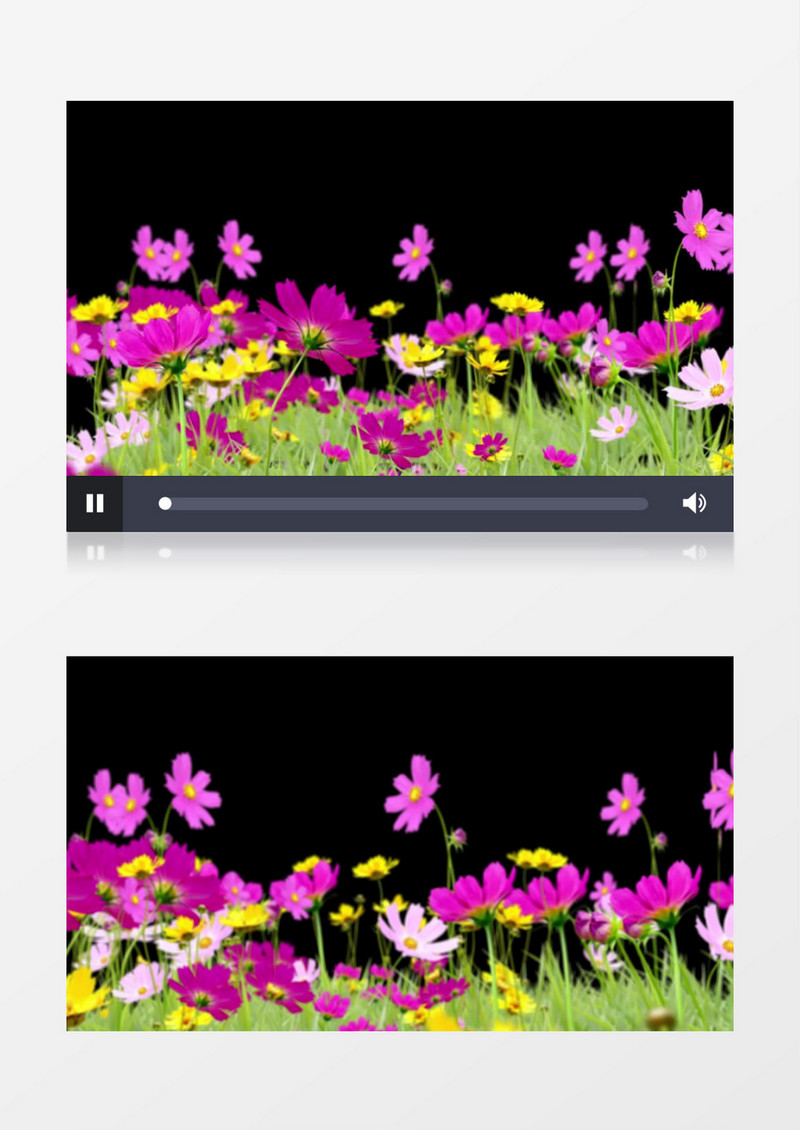 原创粉色花草穿梭透明通道