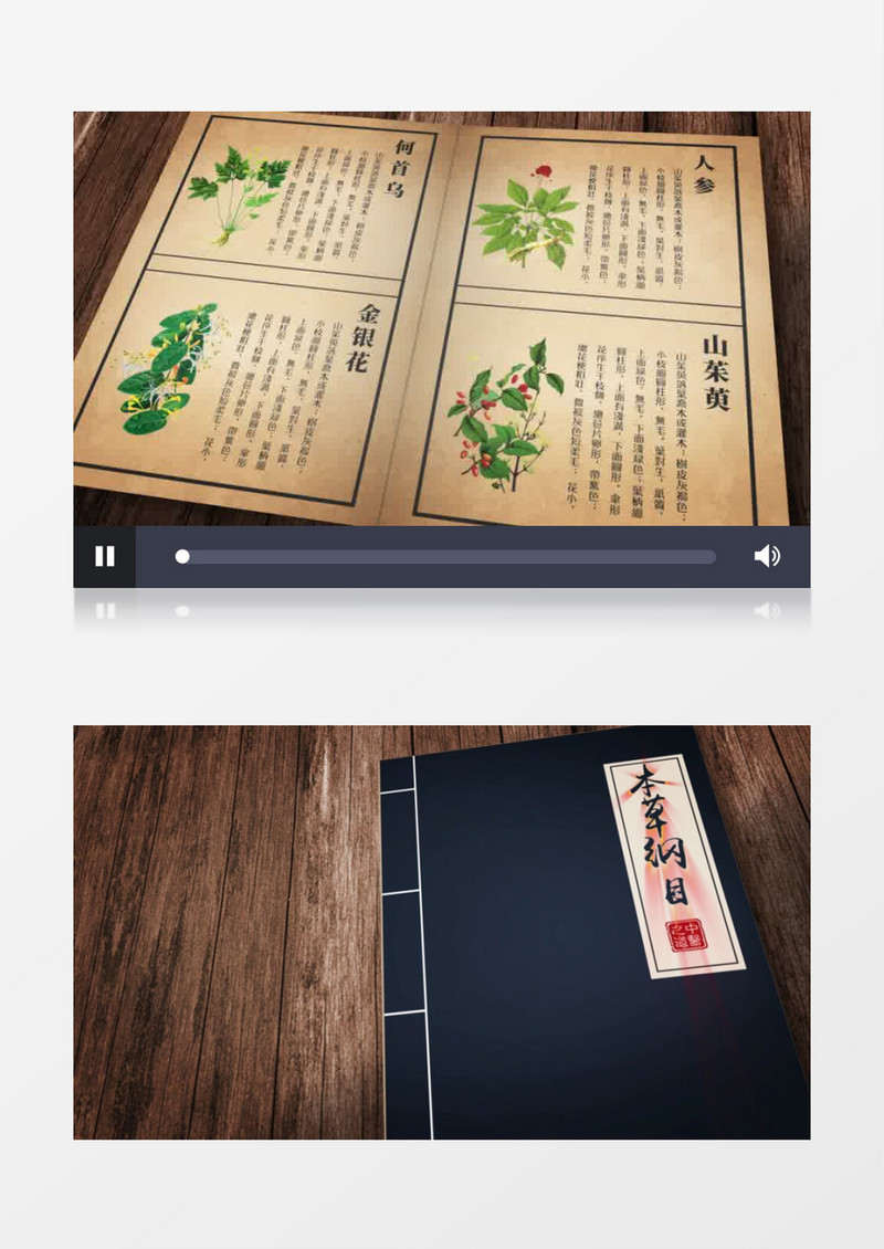 书籍本草纲目翻页无插件AE模板