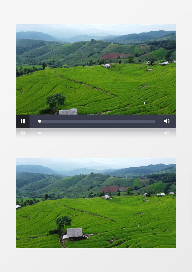 梯田上种植的农作物实拍视频素材