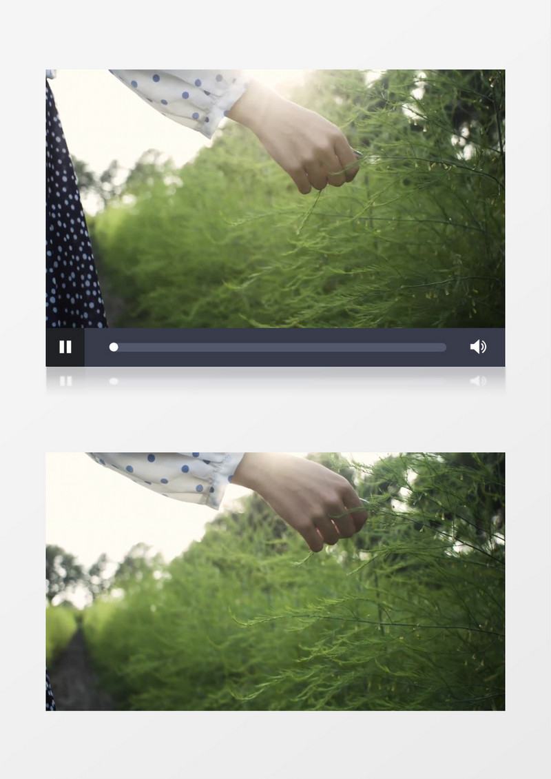 女人的手轻轻拂过树叶实拍视频素材