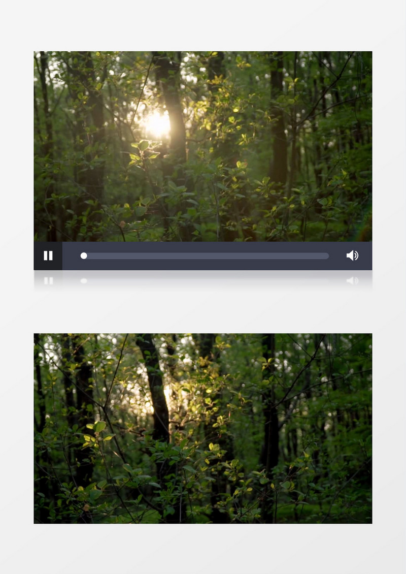清晨的阳光透过树缝洒落出来实拍视频素材