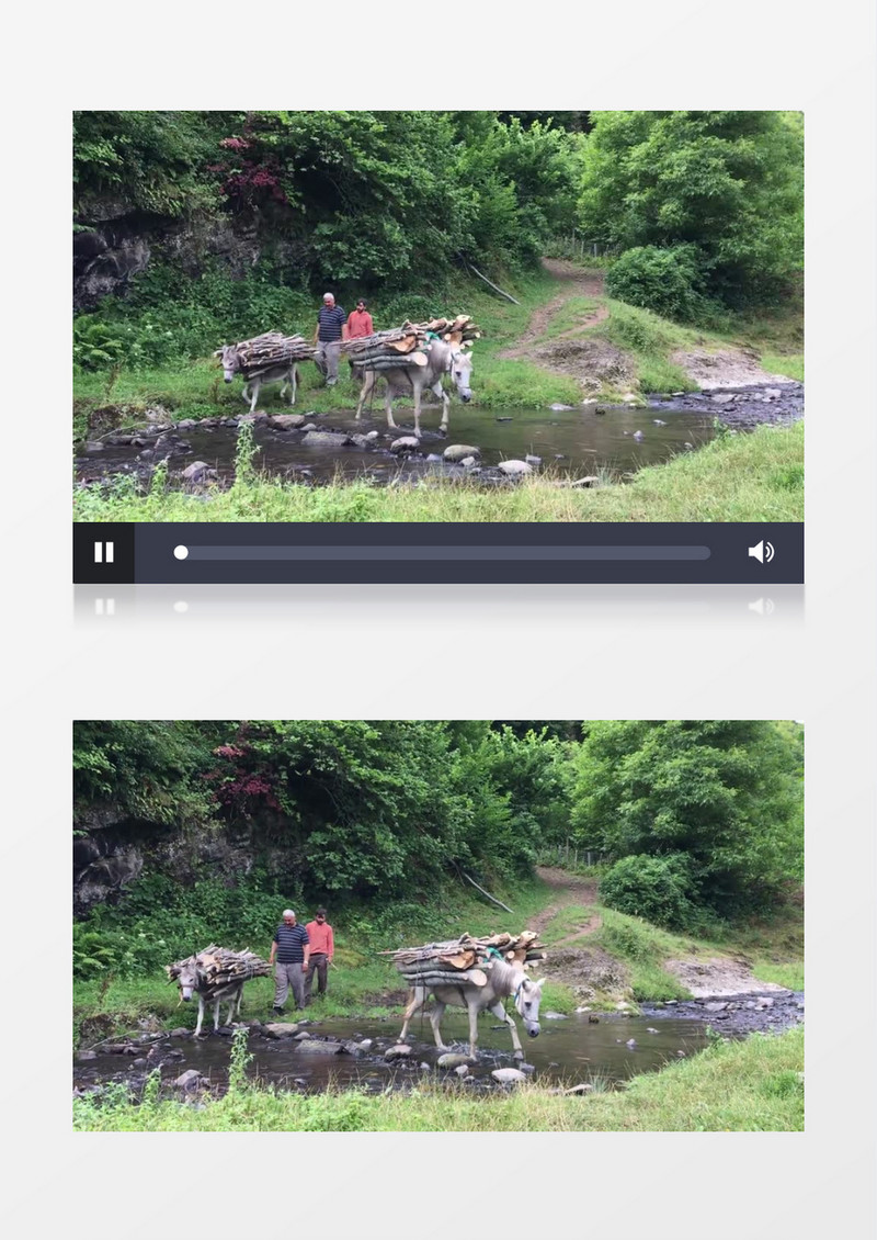 两匹马帮农夫背柴过河实拍视频素材