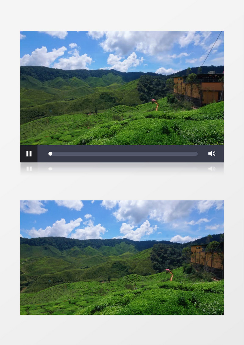 丘陵上成片的树木景色实拍视频素材