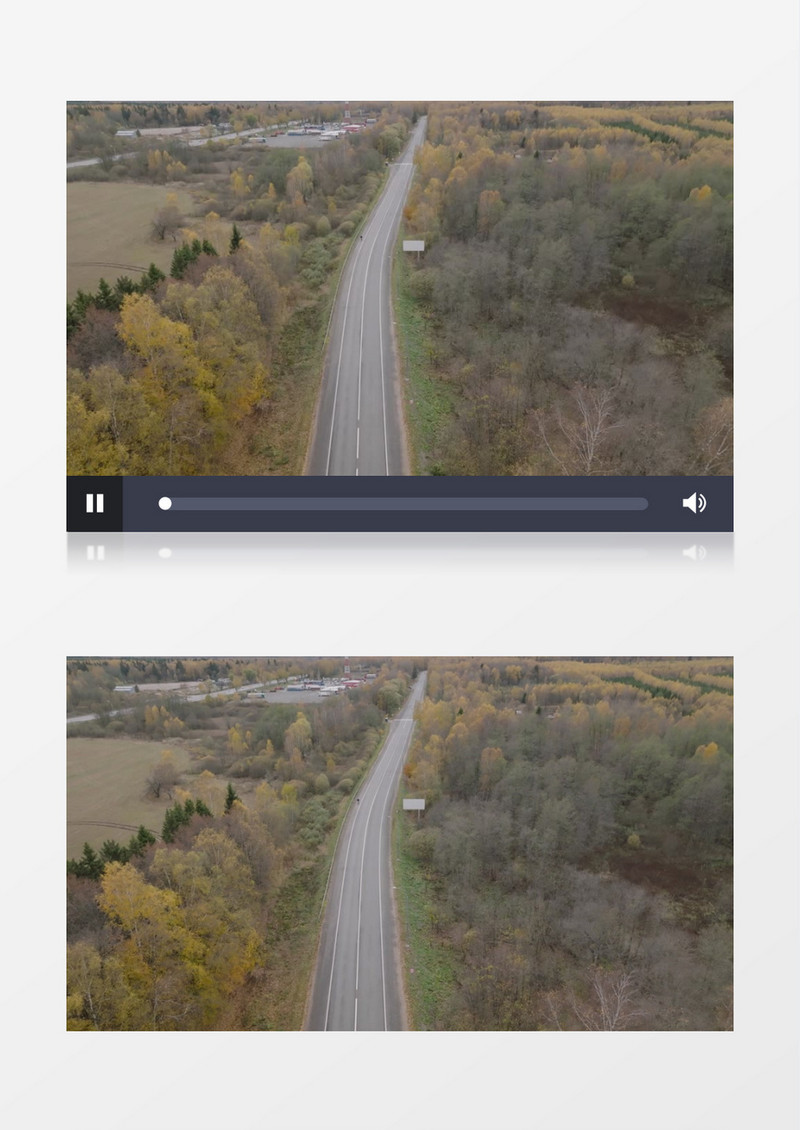 秋季道路两旁的树木景象实拍视频素材