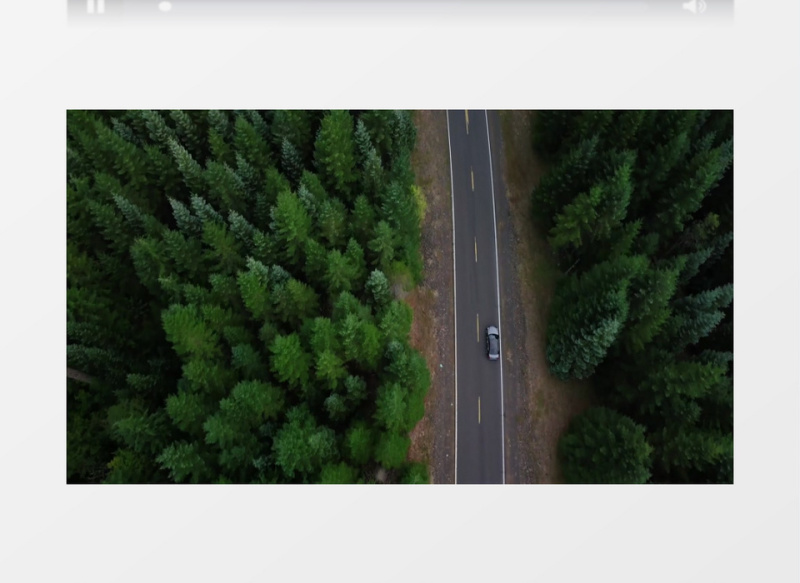 茂密的丛林道路中有一辆疾驰的汽车实拍视频素材