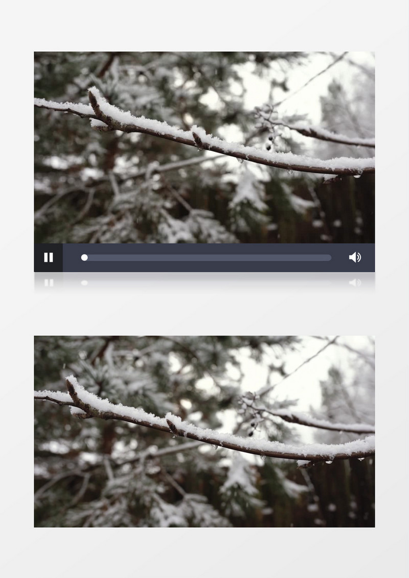 雪花缓缓降落到树上实拍视频素材
