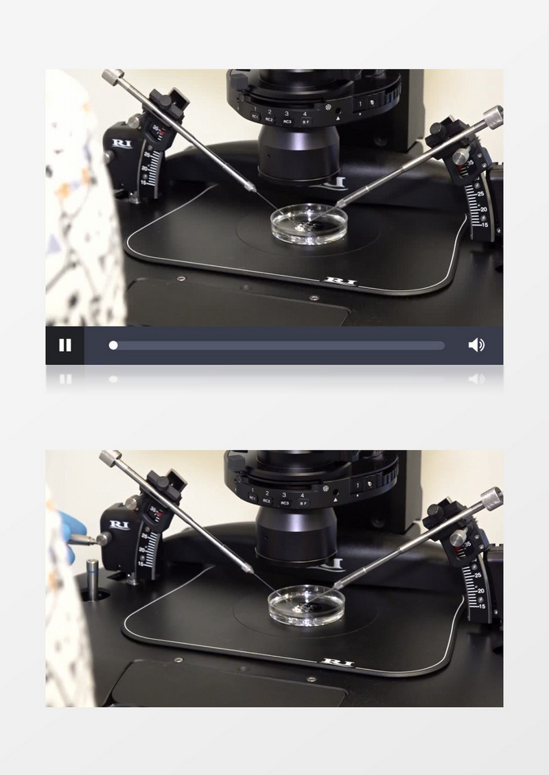 医生在操作显微镜做研究实拍视频素材
