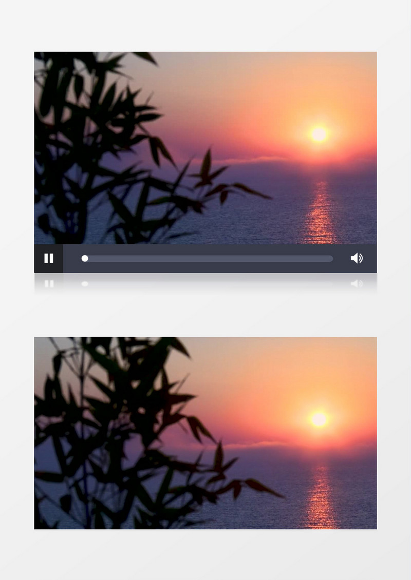 夕阳西下微风轻拂海边植被实拍视频素材