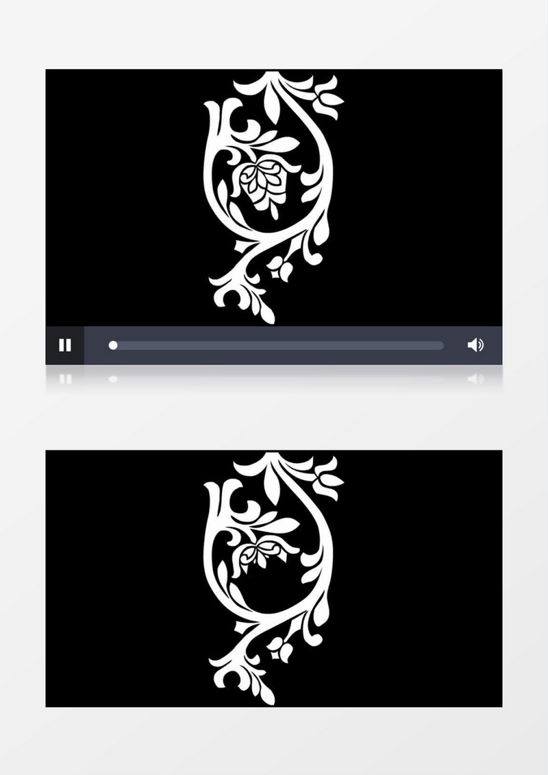 黑色背景下白色花枝延伸艺术性动画效果视频素材