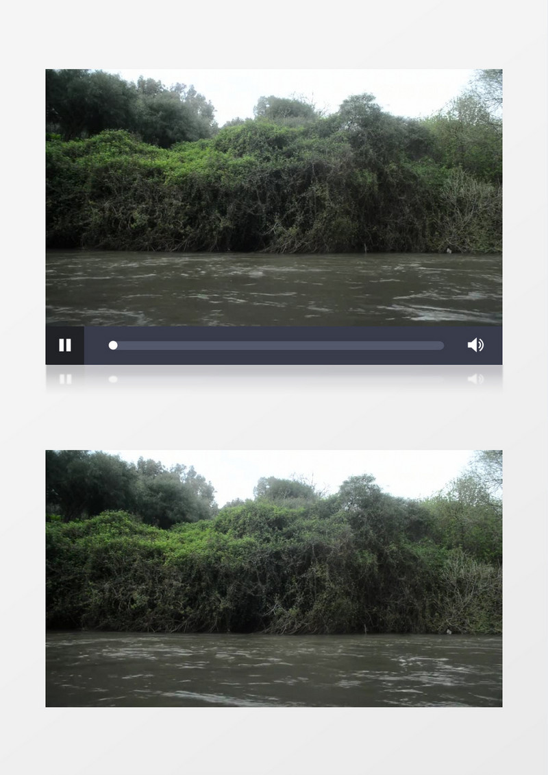 绿色植物河水波动实拍视频素材